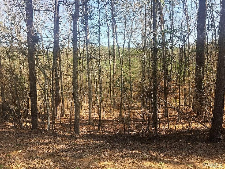 2nd image of 4815 Pin Oak Trl