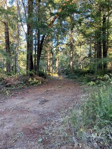 16419 48th Street NW, Lakebay, WA, 98349