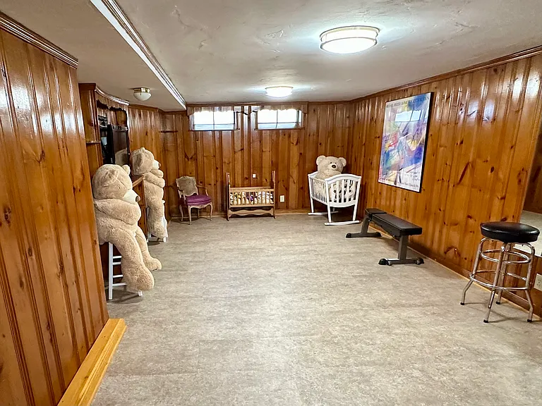 Basement / Playroom