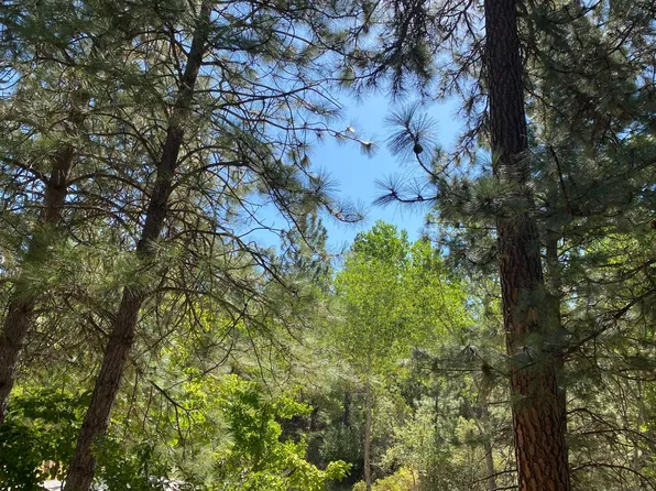 (undisclosed Address), Placerville, CA 95667