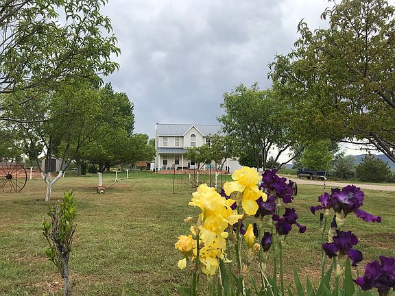Street view through orchard