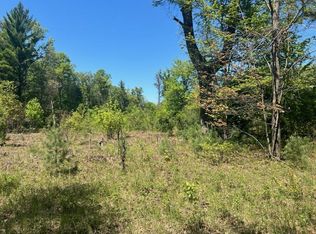 1735 E 40th St, Idlewild, MI 49642