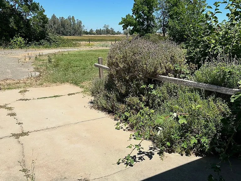 Driveway with spcious parking