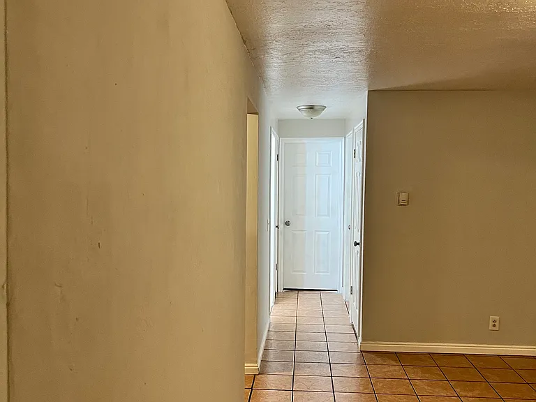 Hallway and Livingroom