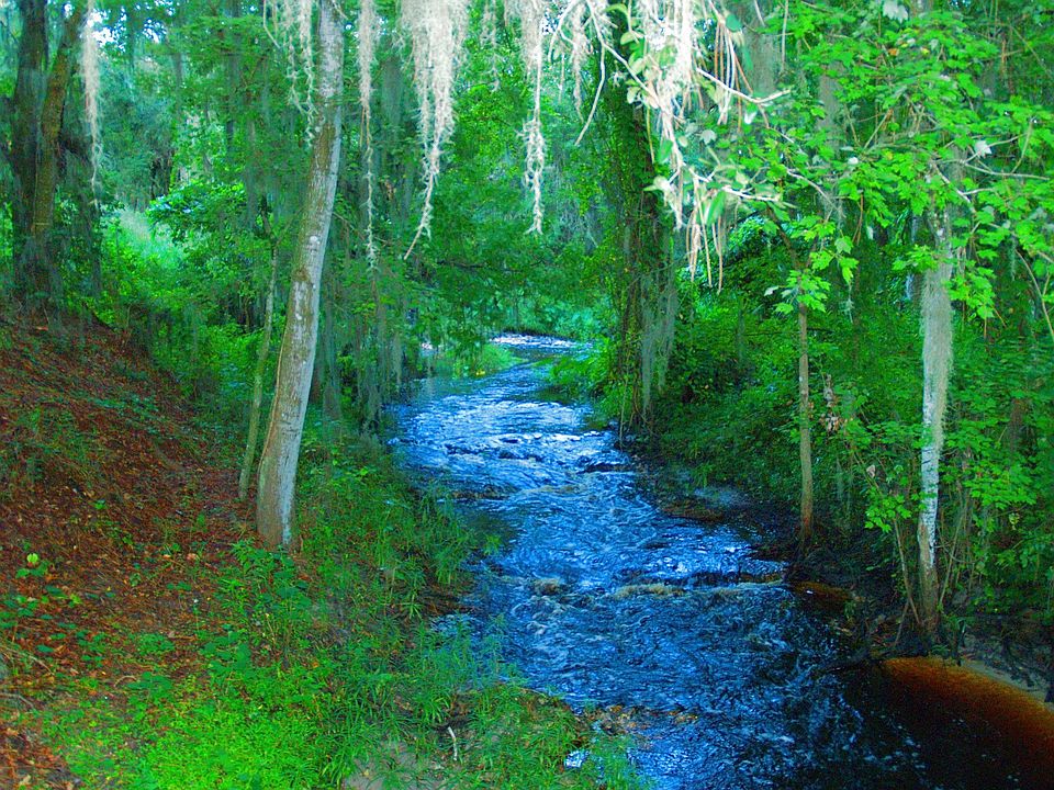 1st image of 13202 Creek Crossing Ln