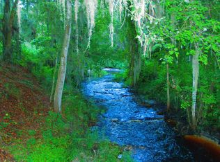 13202 Creek Crossing Ln, Dover, FL 33527