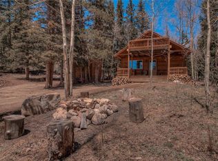3185 River Dr, Alma, CO 80420