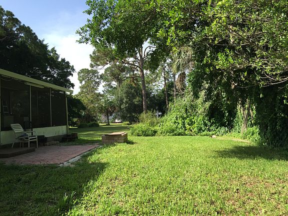 back yard