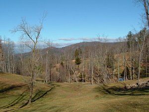 3rd image of 8448 Holly Tree Dr