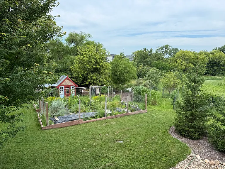Backyard, garden and she shed