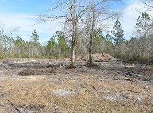 LOT 20 NE Cutters Gap, Ludowici, GA 31316