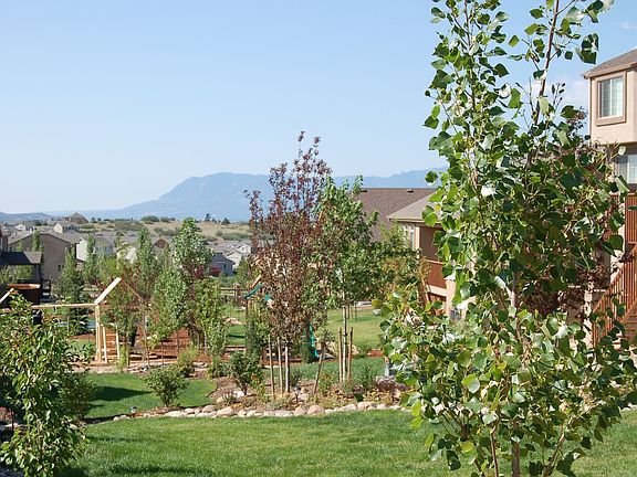 View from the backyard looking south