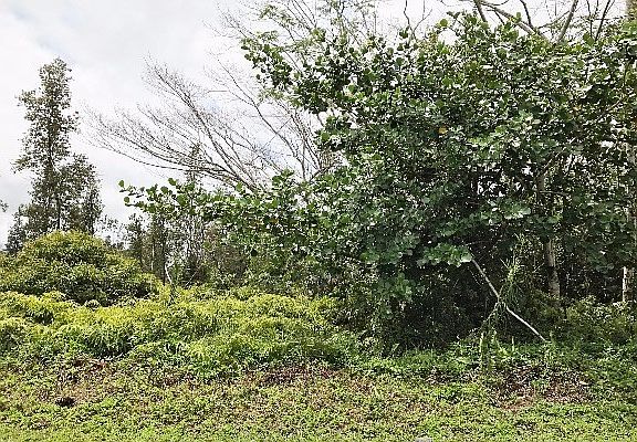 5th image of 9th Ave Lot 1759