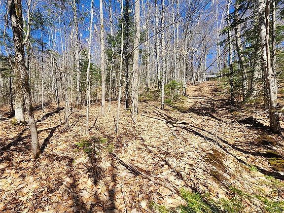 5th image of 47960 Homestead Rd