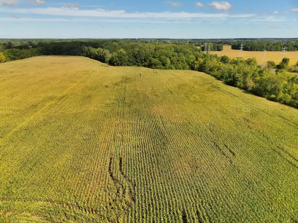 N Bray Rd, Clio, MI 48420