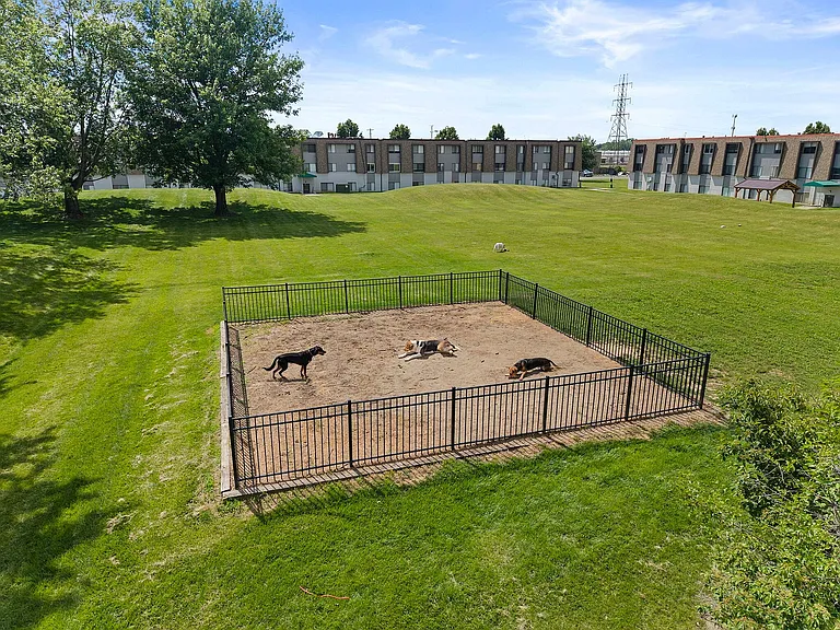Dog Park