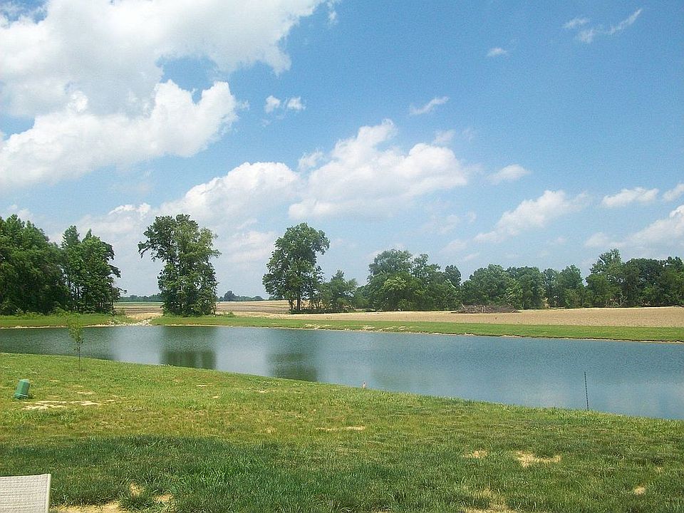 View of backyard