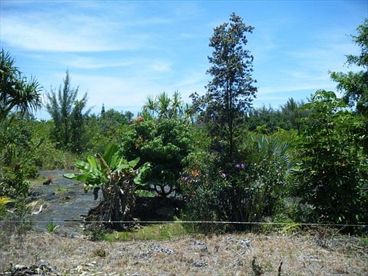 5th image of Paradise Ala Kai Dr Lot 407