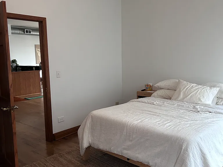 223 E Chicago St #4 — Photo 9