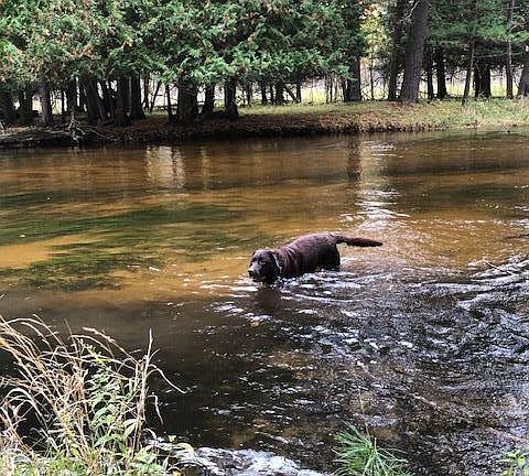 3rd image of 9240 W River Rd