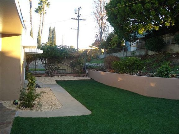 Back yard