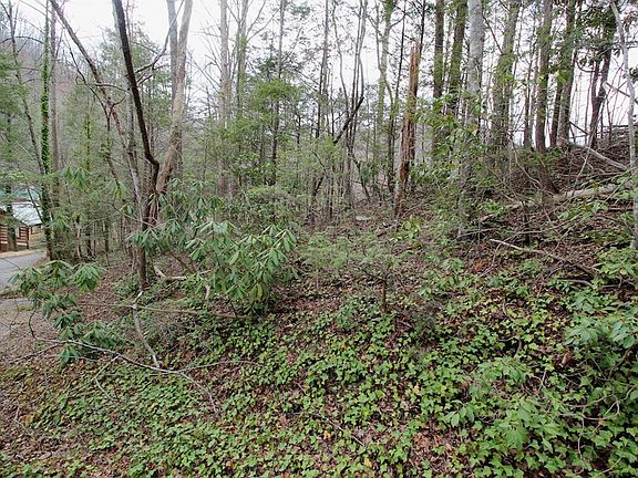 5th image of 16 Red Bud Ln Lot 16R