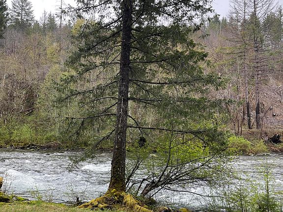 2nd image of 49950 N Santiam Hwy SE
