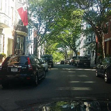 Beautiful tree lined street