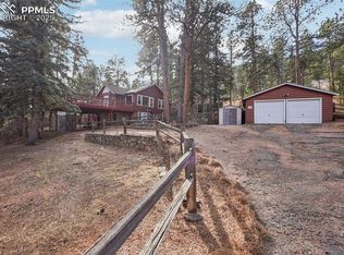 9025 Picabo Rd, Cascade, CO 80809
