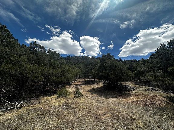 2nd image of 938 Shoshone Dr