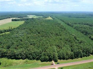 County Road 3229, Center, TX 75935