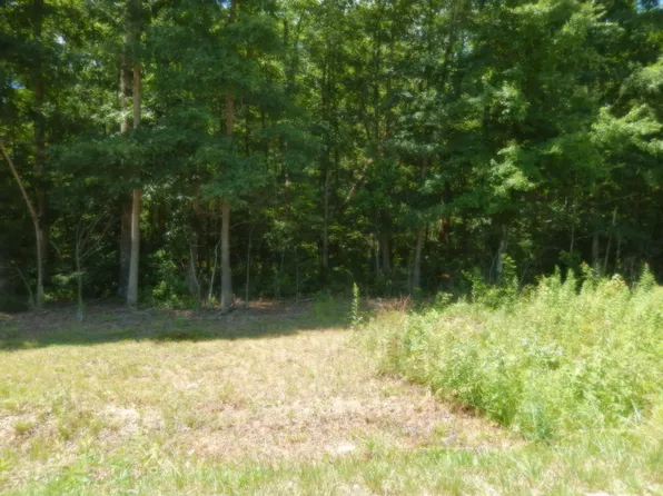 8184 Chief Red Cloud Dr, Crossville, TN 38572