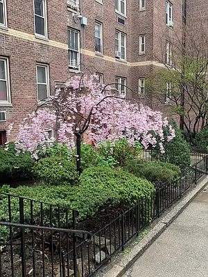 Sold by Esther Flynn Real Estate | media 41