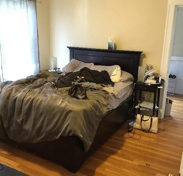 9 Arlington St #3L — Photo 6