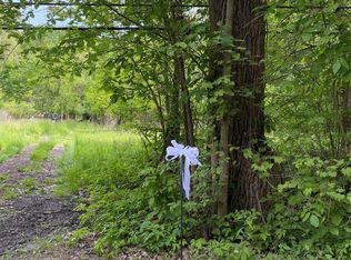 0 Lotzford Rd, Canton, MI 48187