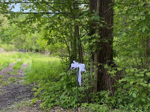 0 Lotzford Rd, Canton, MI 48187