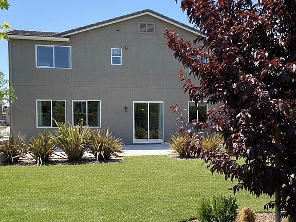 Landscaped Backyard