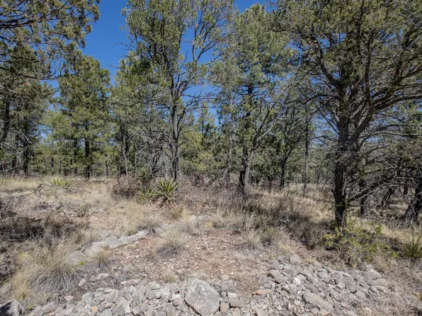 368 368/374 Norwood Dr, Timberon, NM 88350