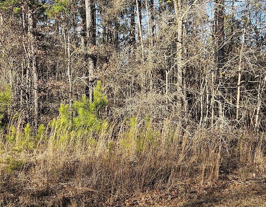 2nd image of 183 Gregory Dr