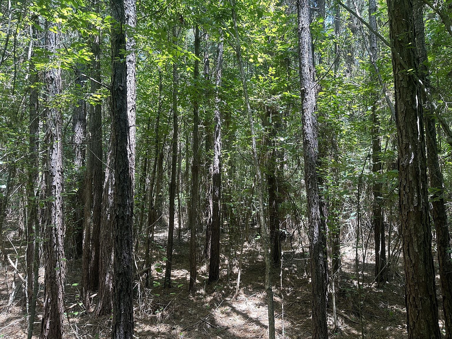 Quarter Mile North Of Ar Hwy 26, Arkadelphia, AR 71923 Zillow