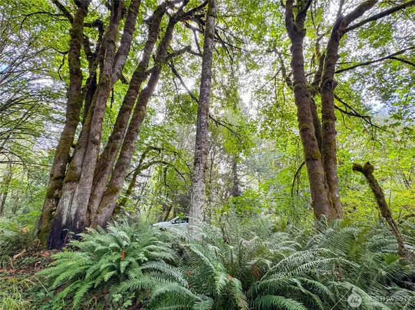 120 184th Avenue Ct NW, Lakebay, WA 98349