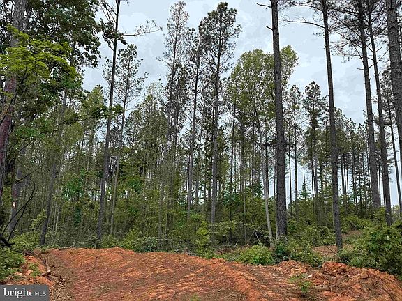2nd image of W River Road Tract Jr Sadie Flanagan #2