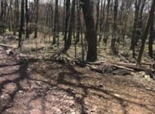 Cree Trl, Albrightsville, PA 18210