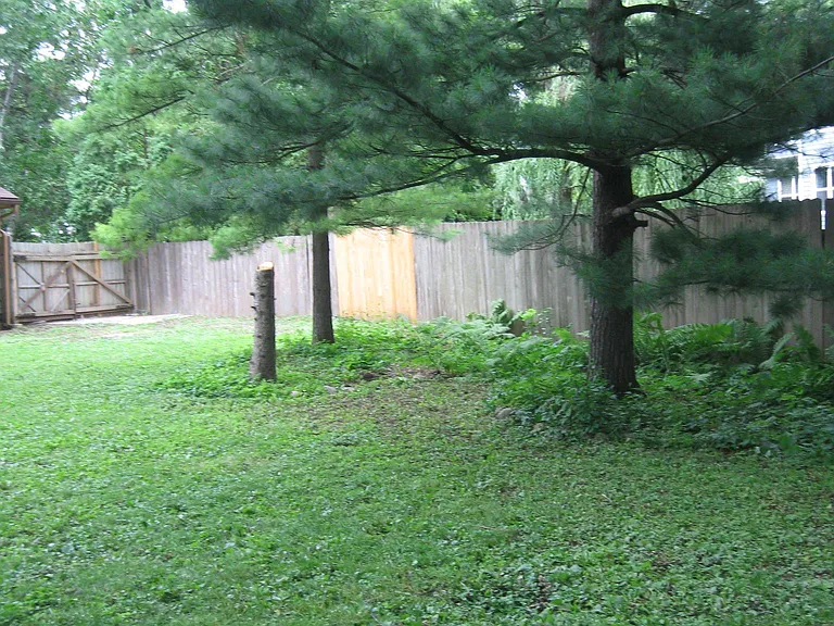 16017 Gleason Lake Rd — Photo 12