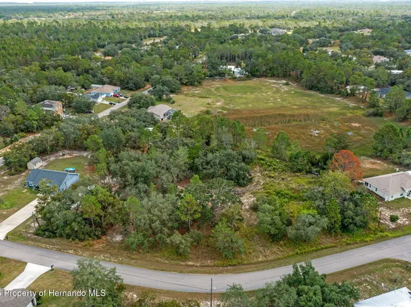 0 Marbled Godwit Rd, Weeki Wachee, FL 34614