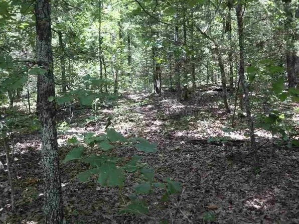 LOT 19 Wolf Hollow Rd, Ash Flat, AR 72513