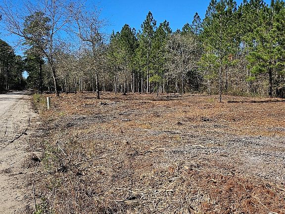 2nd image of 0 Crawford Ln