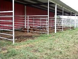 3rd image of 1270 County Road 2106