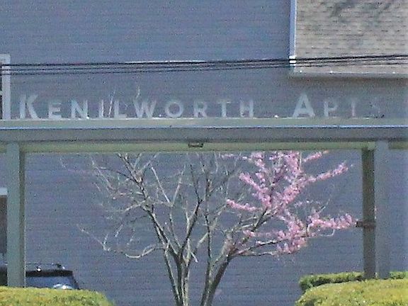 2nd image of 210 N Kenilworth Ave APT 3