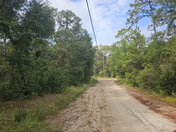 SE 92nd Pl Lot 1, Ocklawaha, FL 32179
